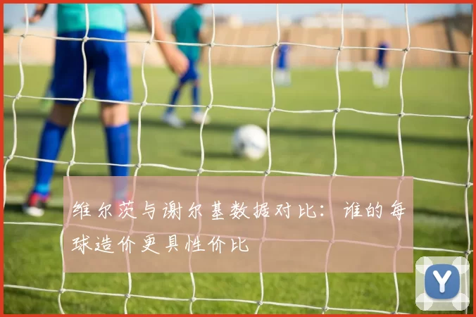 维尔茨与谢尔基数据对比：谁的每球造价更具性价比