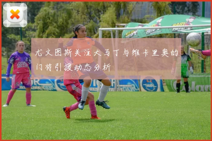 尤文图斯关注大马丁与维卡里奥的门将引援动态分析