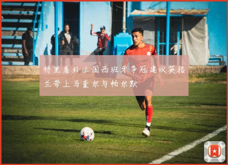 特里看好法国西班牙争冠建议英格兰带上马奎尔与帕尔默