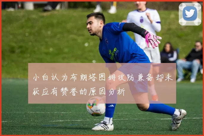 小白认为布朗塔图姆攻防兼备却未获应有赞誉的原因分析